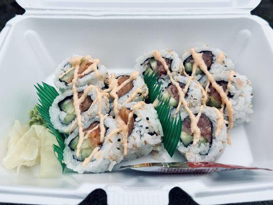 Spicy tuna & salmon combo