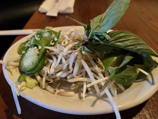 Veggies for Pho