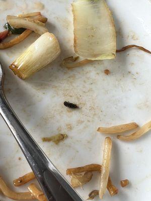 Bug in lo mein