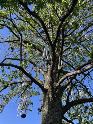 Chimes display in a tree