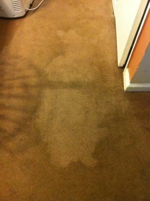 The rug was damaged from the water leak, it turned moldy and smelly and I had to deal with this for 2 weeks!!!