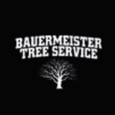 Bauermeister Tree Service