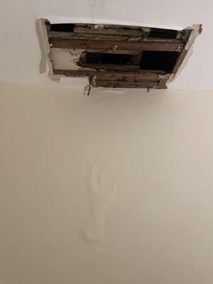 "No mold" - according to landlords who never stepped foot in apartment and didn't smell the shit I was breathing.