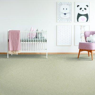 Mohawk "Enchanting Glamour"  Nylon Carpet. 16 Colors, Contact us for a Special "Yelp Pricing:
Ends May 31, 2024