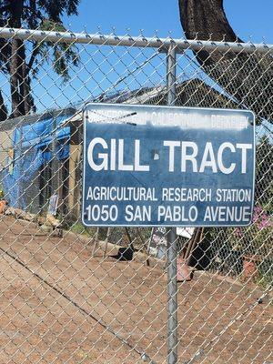 San Pablo fill tract gate entry