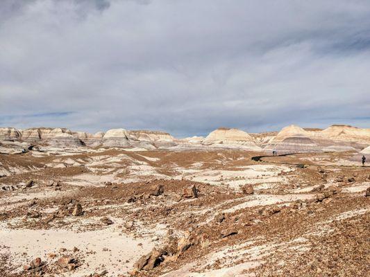 Blue Mesa Trail