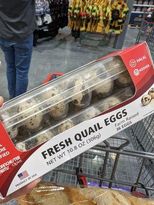 Quail Eggs!