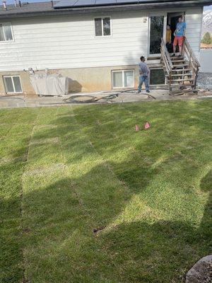 Sod installation