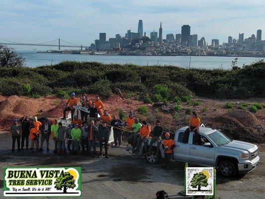 Buena Vista Tree Service