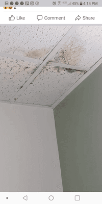 MOLD ON THE BATHROOM