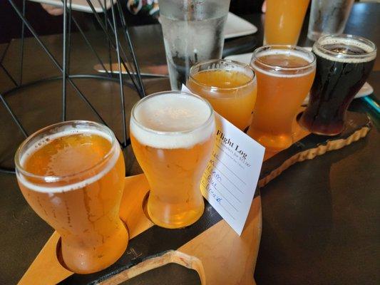 I liked all the beers on my flight!