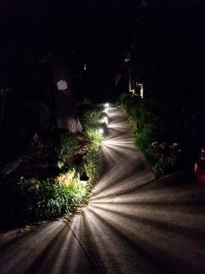 Southern Exteriors Residential Landscape Lighting Install