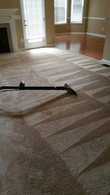 Cyclone Carpet Cleaning and Moving