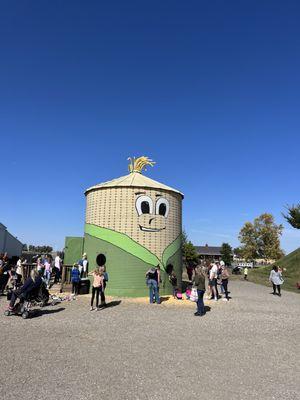 These were filled with corn for a sensory play area for the kids.