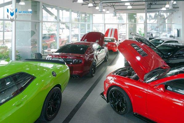 High Horsepower Showroom