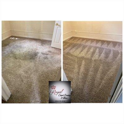 Basement bedroom carpet cleaning