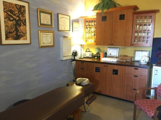 One of Dr. Skefich's treatment rooms.