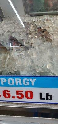 Porgy