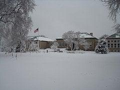 Winter at Falmouth Public Library