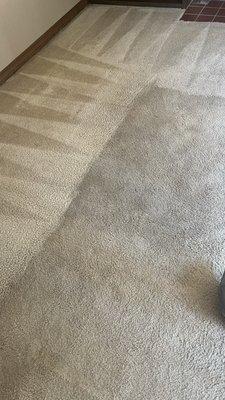 Clean vs dirty carpet