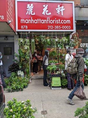 A sidewalk of plant selections!