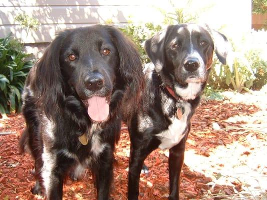 Ben & Maud hang out at home