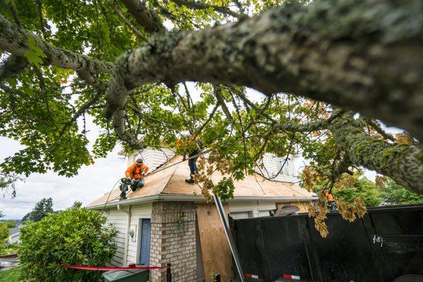 Pfeifer Roofing is Salem, OR's top Roofing Contractor. Contact us today to get an estimate on your next roof replacement or roof repair!