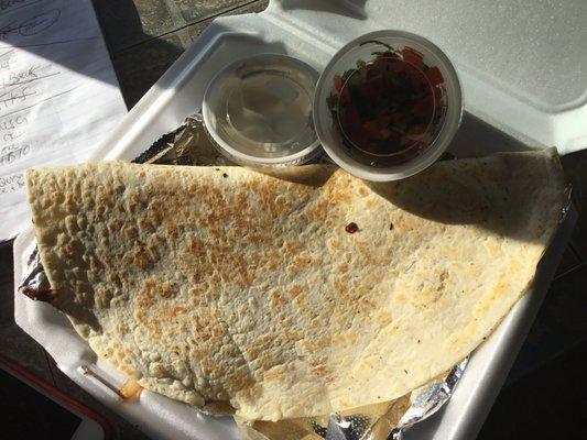 Giant Quesadilla