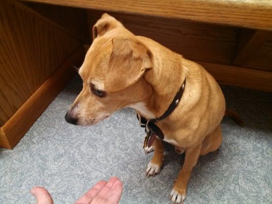 Mater getting a treat @ the Dr.