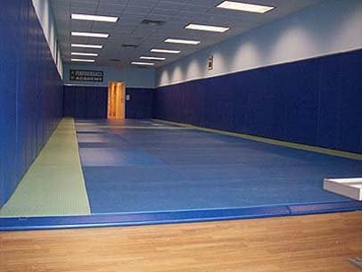 Performance Jiu-Jitsu & Self Defense Academy