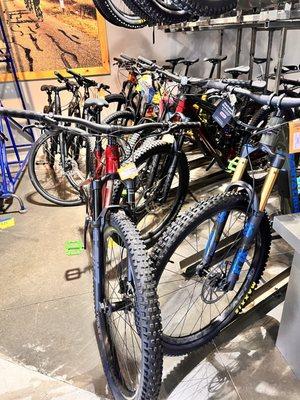 Looking for a bike! I could use a new one with all these fun trail runs!