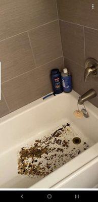 Raw sewage in my tub