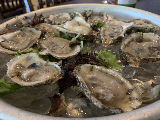 Oysters buck a shuck