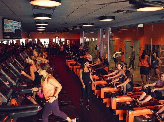 Orangetheory Fitness Plantation