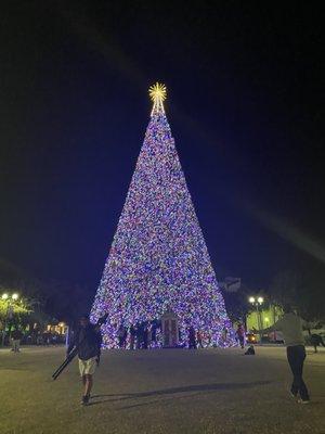 Christmas tree over 100 ft tall