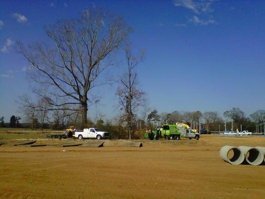 Our Expert tree protection at work during construction at a new Walmart store.