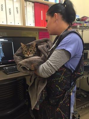 One of our techs preparing for x-rays on a feline patient!