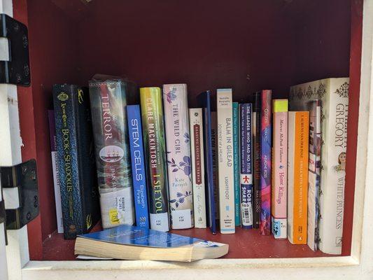 Little Free Library, Masconomo Park, Manchester-by-the-Sea