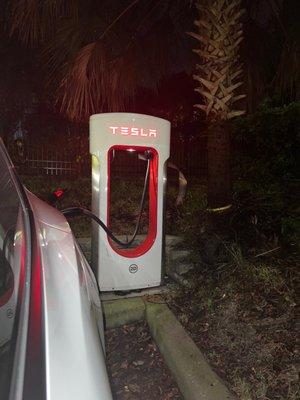 Tesla superchargers behind the store