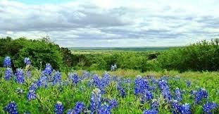 Hill Country View