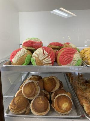 Conchas for el día de la independencia de Mexico