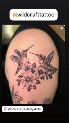 Flowers and hummingbirds