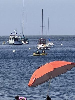 Trainer and student in kayaks near the wharf in Monterey.