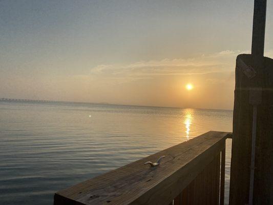 Outside Liam's at South Padre Island.