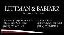 Littman & Babiarz Law Office logo