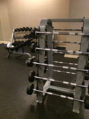 Free weights in the (free) cardio center