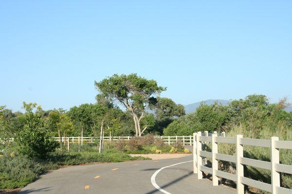 view of paseos across the street