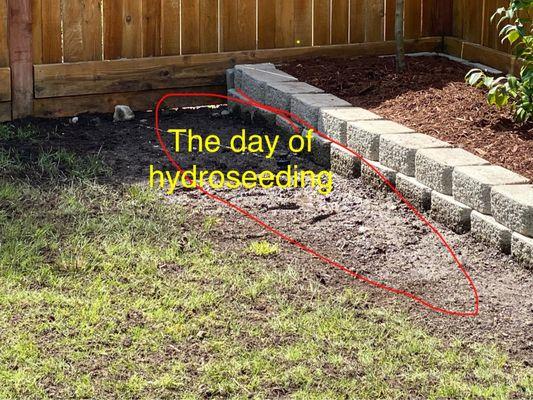 The day of hydroseeding