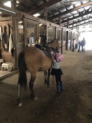 My 4 years old got to learn how to put horse saddle