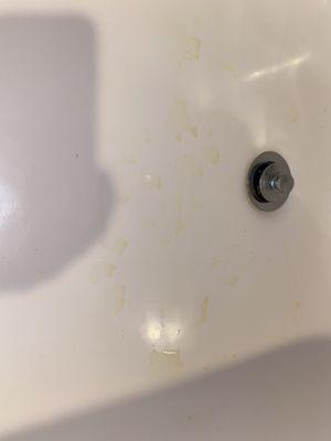 There was URINE in our bathtub!! Absolutely disgusting.